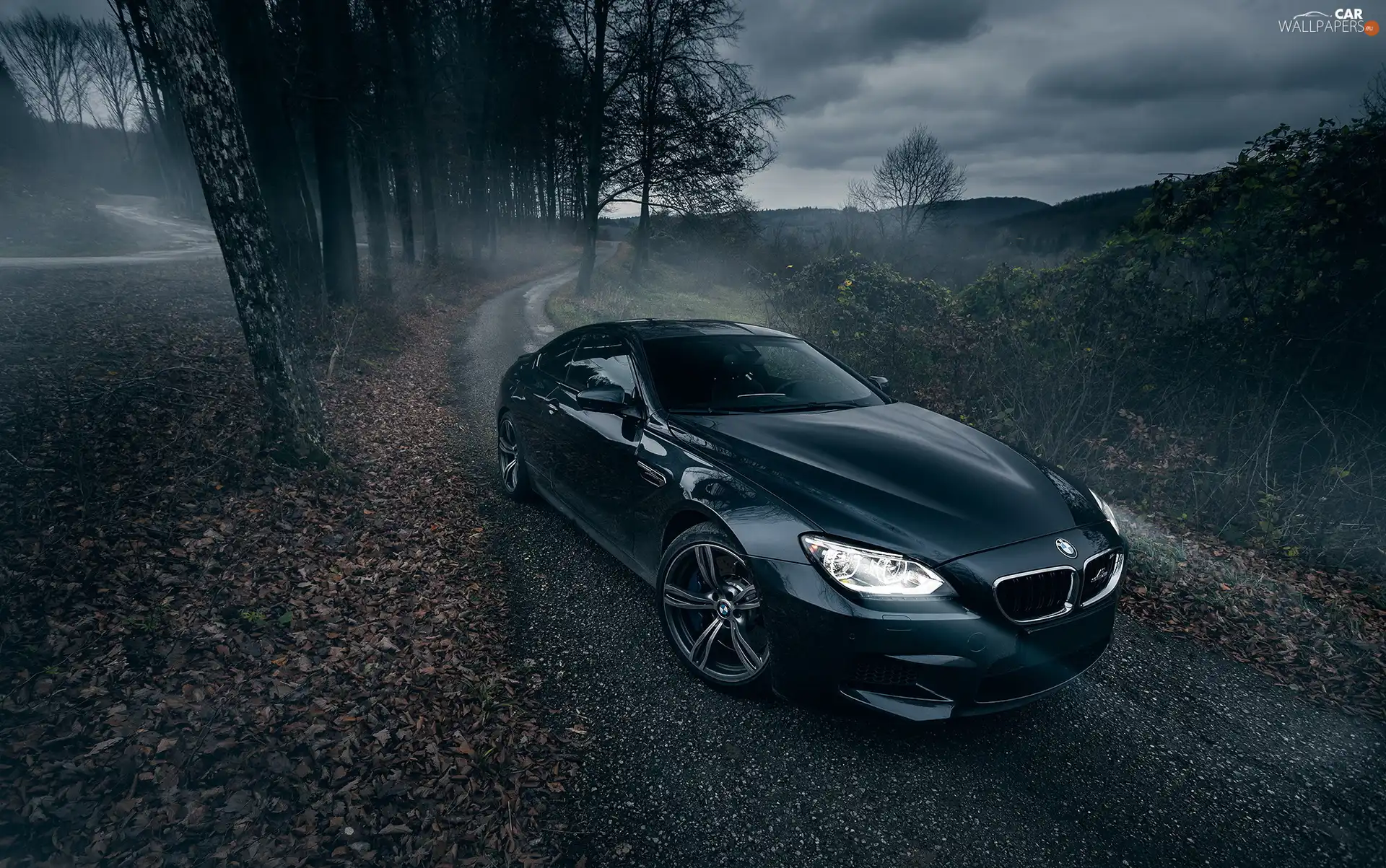 trees, viewes, 2014, Way, BMW M6 Gran Coupe AC Schnitzer