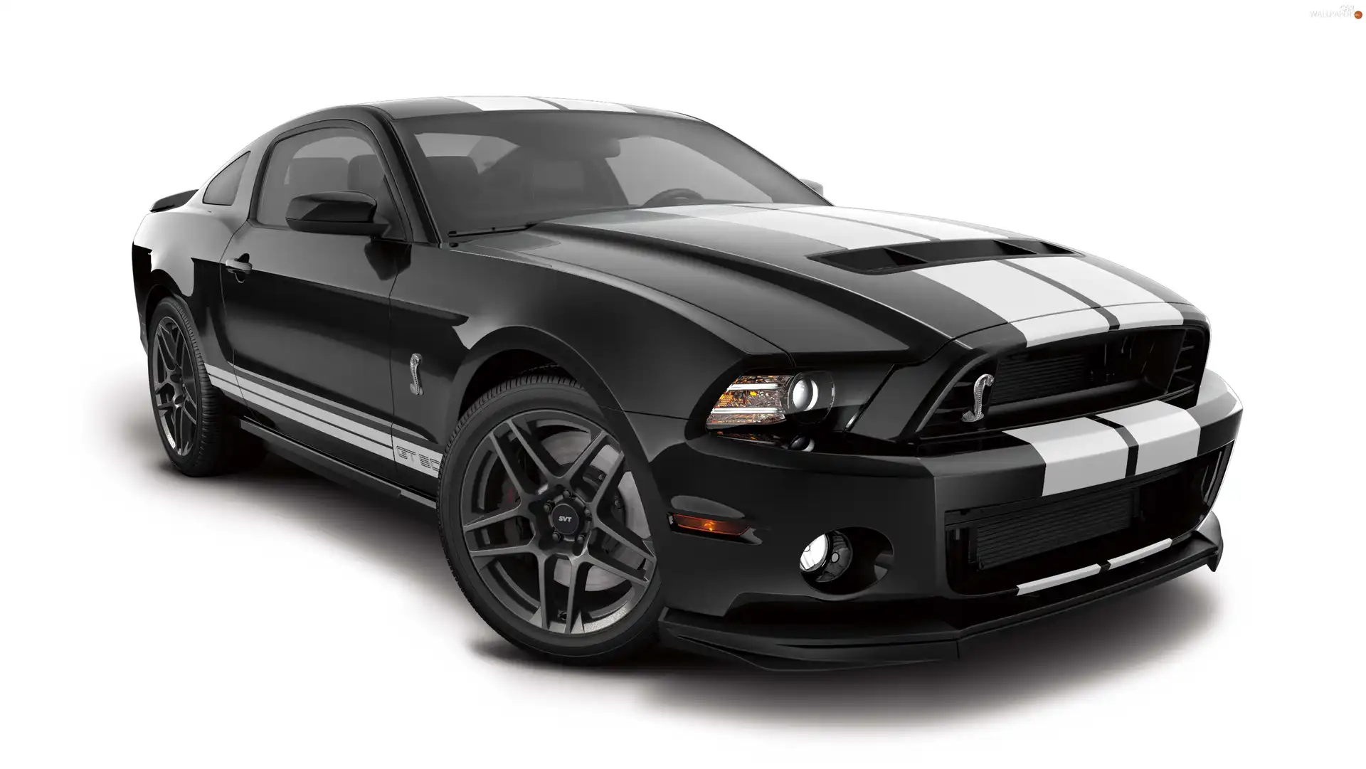 Black, Shelby, GT500, Ford